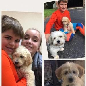 Meet your Posher, Marc